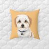Disney Pet Portrait | Pillow