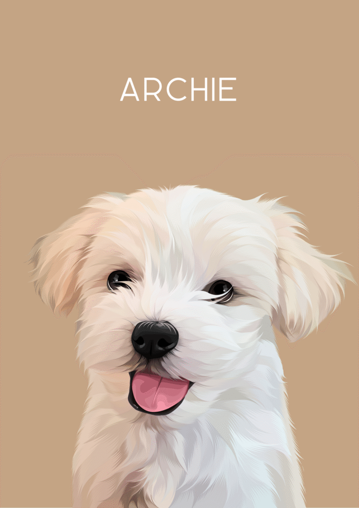 Image #1 from Archie The Maltese Chihuahua