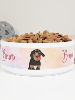 Disney Pet Portrait | Pet Bowl