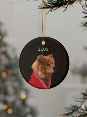 Detailed Pet Portrait | Ornaments