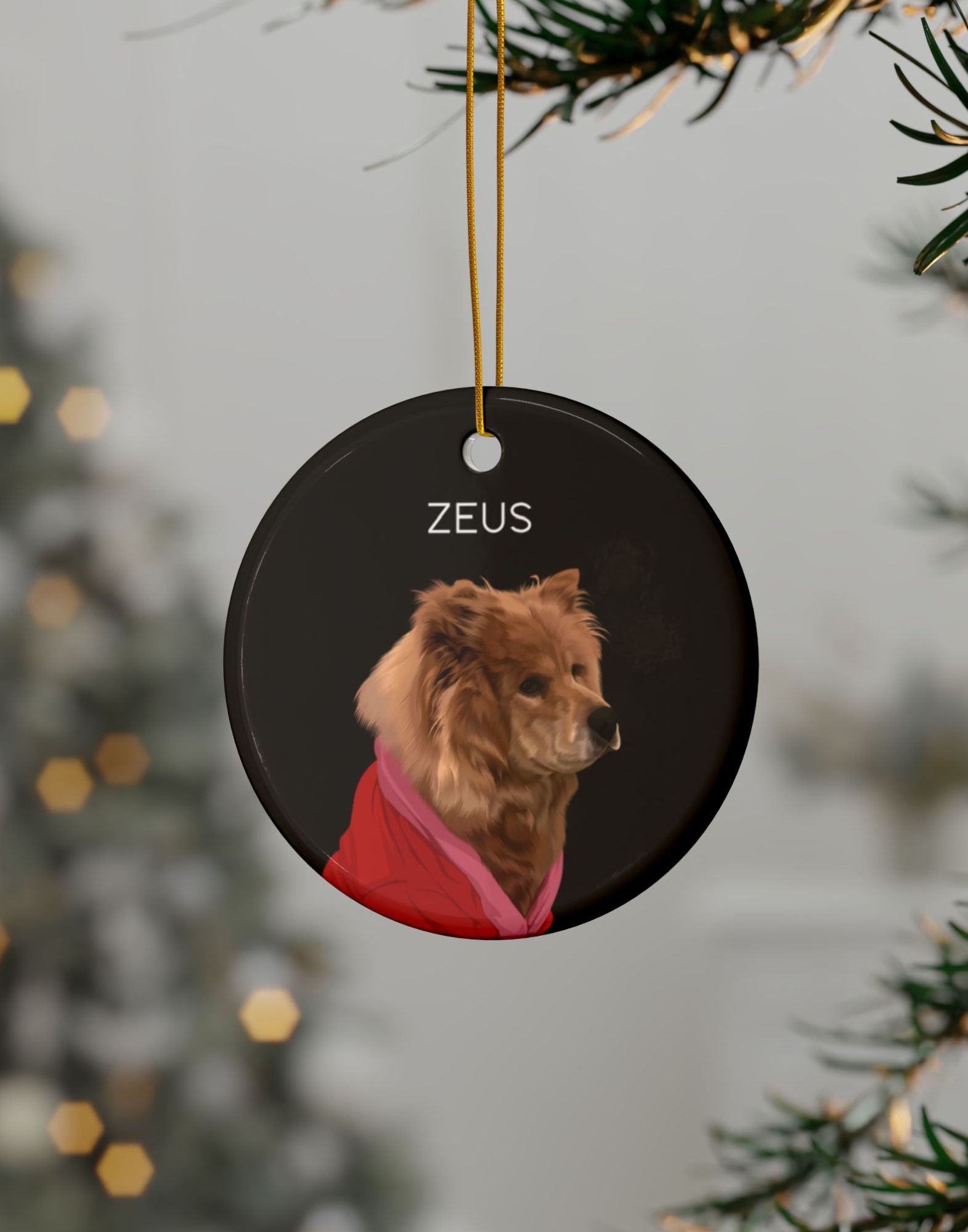 Detailed Pet Portrait | Ornaments