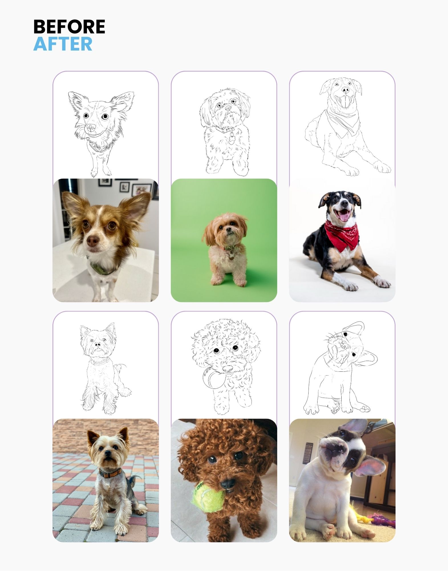 Pawtret Line - Canvas or Framed Poster - Image 7